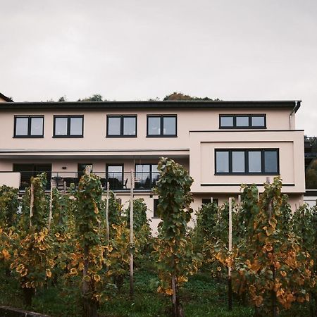 Appartement Weingut Meurer à Reil Extérieur photo